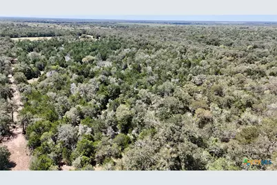 Tbd Rosanky Road, Flatonia, TX 78941 - Photo 19