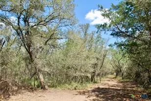 Tbd Rosanky Rd, Flatonia, TX 78941 - Photo 17
