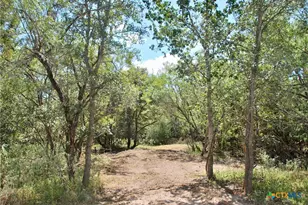 Tbd Rosanky Rd, Flatonia, TX 78941 - Photo 7