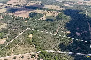 Tbd Rosanky Rd, Flatonia, TX 78941 - Photo 3
