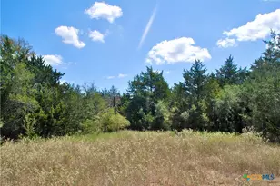 Tbd Rosanky Rd, Flatonia, TX 78941 - Photo 13