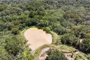 Tbd Rosanky Rd, Flatonia, TX 78941 - Photo 9