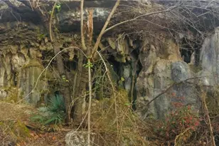 23601 Old Ferry Rd, Spicewood, TX 78669 - Photo 29