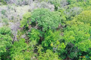 23601 Old Ferry Rd, Spicewood, TX 78669 - Photo 15