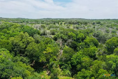 23601 Old Ferry Road #1, Spicewood, TX 78669 - Photo 9