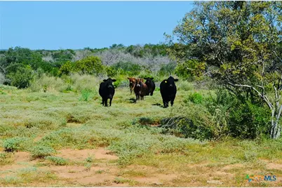 23601 Old Ferry Road #1, Spicewood, TX 78669 - Photo 19