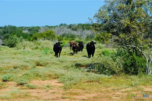 23601 Old Ferry Rd, Spicewood, TX 78669 - Photo 19