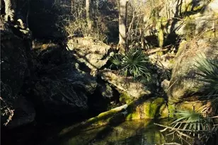 23601 Old Ferry Rd, Spicewood, TX 78669 - Photo 31