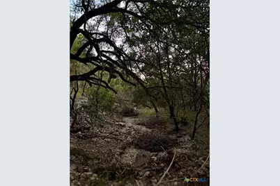 1043 Summit Bluff, Canyon Lake, TX 78133 - Photo 7