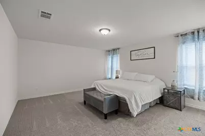 328 Harvest Flds Fields, New Braunfels, TX 78130 - Photo 19