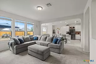 328 Harvest Flds Fields, New Braunfels, TX 78130 - Photo 7