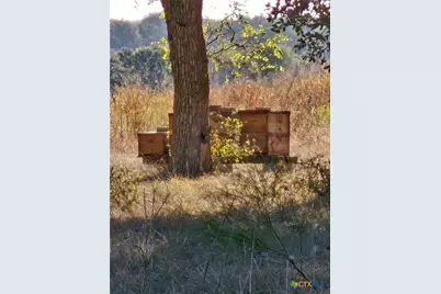 350 Yellowstone Drive, Oglesby, TX 76561 - Photo 3