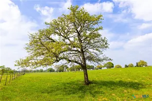 243 Co Rd 442, Harwood, TX 78632 - Photo 23