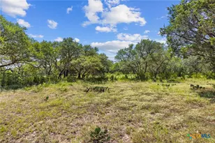 Lot 170 Heartleaf Dr, Lampasas, TX 76550 - Photo 11