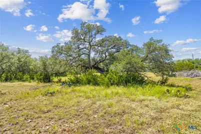 Lot 170 Heartleaf Drive, Lampasas, TX 76550 - Photo 1