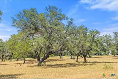 Lot 17 Stonegate Court, Johnson City, TX 78636 - Photo 7