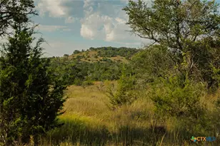 3067 Ranch Road 1888, Blanco, TX 78606 - Photo 45