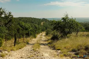 3067 Ranch Road 1888, Blanco, TX 78606 - Photo 43