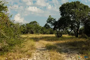 3067 Ranch Road 1888, Blanco, TX 78606 - Photo 41