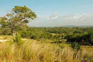 3067 Ranch Road 1888, Blanco, TX 78606 - Photo 37