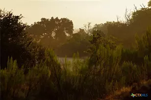 3067 Ranch Road 1888, Blanco, TX 78606 - Photo 31