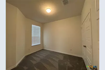 4119 Carraway Street, New Braunfels, TX 78130 - Photo 21