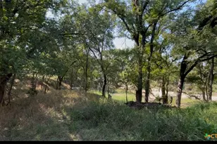 3927 County Rd 3210, Kempner, TX 76539 - Photo 13