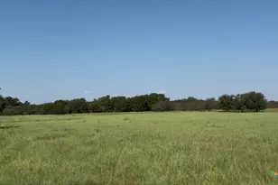 3927 County Rd 3210, Kempner, TX 76539 - Photo 11