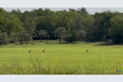 3927 County Road 3210, Kempner, TX 76539 - Photo 5