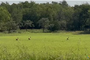 3927 County Rd 3210, Kempner, TX 76539 - Photo 5