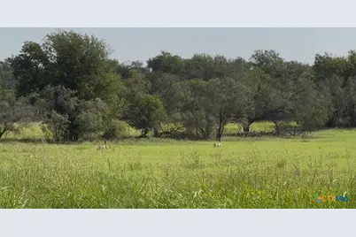 3927 County Road 3210, Kempner, TX 76539 - Photo 11
