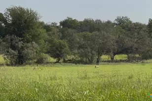 3927 County Rd 3210, Kempner, TX 76539 - Photo 11