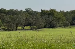 3927 County Rd 3210, Kempner, TX 76539 - Photo 3