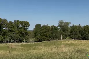 3927 County Rd 3210, Kempner, TX 76539 - Photo 7