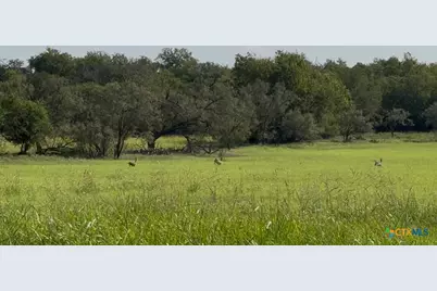 3927 County Road 3210, Kempner, TX 76539 - Photo 5