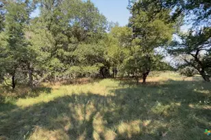 3927 County Rd 3210, Kempner, TX 76539 - Photo 13