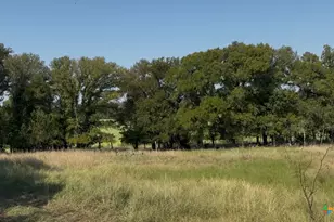 3927 County Rd 3210, Kempner, TX 76539 - Photo 9