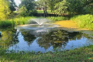 9695 Co Rd 321, Caldwell, TX 77836 - Photo 31