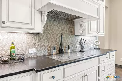 742 Pacific Place, Spring Branch, TX 78070 - Photo 9