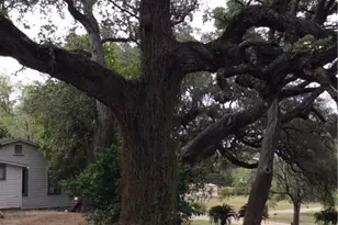 914 Macarthur St, Cuero, TX 77954 - Photo 39