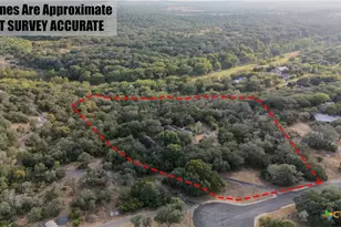 810 Bluff Ridge Ct, New Braunfels, TX 78132 - Photo 41