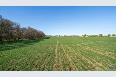 2396-E County Road 112, Buckholts, TX 76518 - Photo 17