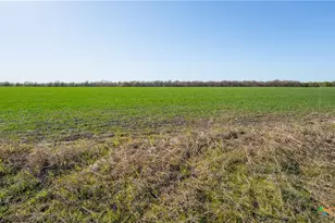2396-E County Road 112, Buckholts, TX 76518 - Photo 23