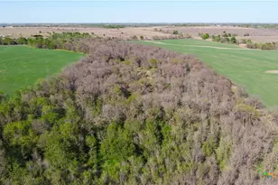 2396-E County Road 112, Buckholts, TX 76518 - Photo 3