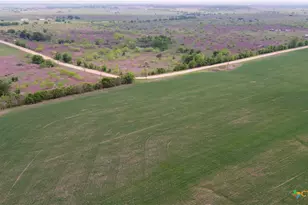 2396-E County Road 112, Buckholts, TX 76518 - Photo 25