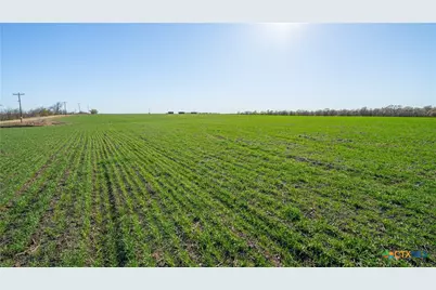 2396-E County Road 112, Buckholts, TX 76518 - Photo 21