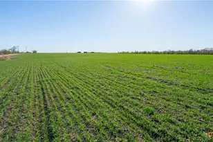 2396-E County Road 112, Buckholts, TX 76518 - Photo 21