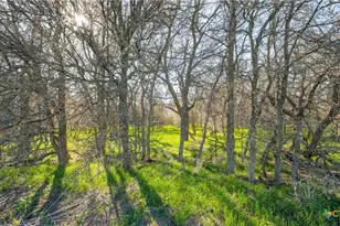 2396-E County Road 112, Buckholts, TX 76518 - Photo 13