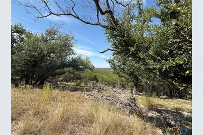 640 Crossman, Fischer, TX 78623 - Photo 3