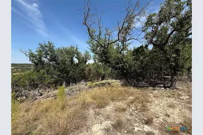 640 Crossman, Fischer, TX 78623 - Photo 5